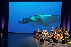 Familienkonzert Familienkonzert